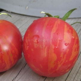 «Pink Vernissage» - Organic Tomato Seeds