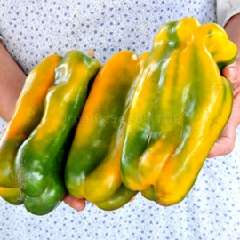 «Yellow Monster» - Organic Pepper Seeds