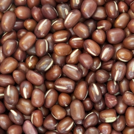 «Adzuki» - Organic Bean Seeds