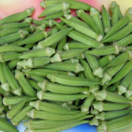 «Panpipe» - Organic Okra Seeds