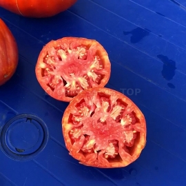 «Goatbag» - Organic Tomato Seeds