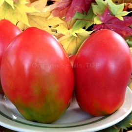 «Dimensionless» - Organic Tomato Seeds
