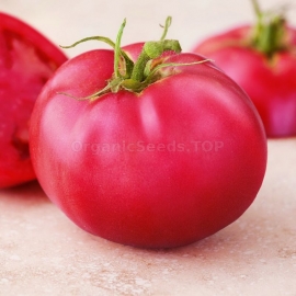 «Sugar Pudding» - Organic Tomato Seeds