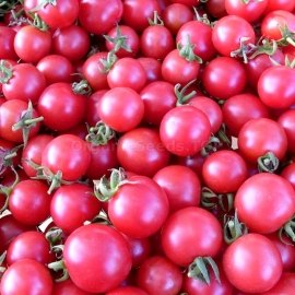 «Cherry Pink» - Organic Tomato Seeds