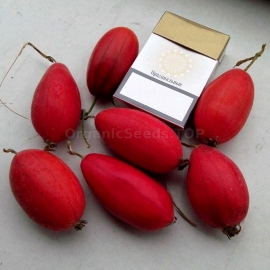 Organic Goldencreeper Seeds (Thladiantha dubia)