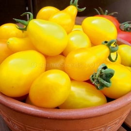 «Perun» - Organic Tomato Seeds
