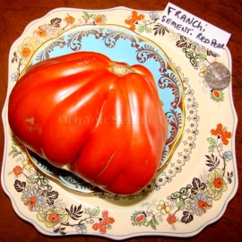 «Red Pear Franchi» - Organic Tomato Seeds