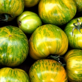 «Zebra Rita» - Organic Tomato Seeds