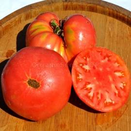 «Uncle Everett» - Organic Tomato Seeds