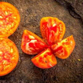 «Gandalf» - Organic Tomato Seeds