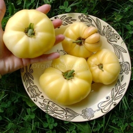 «White Wax» - Organic Tomato Seeds