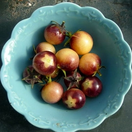 «Amethyst Cream Cherry» - Organic Tomato Seeds