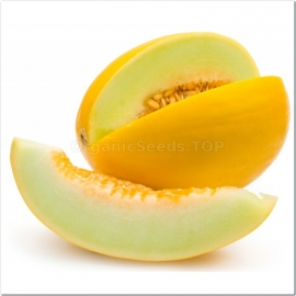 «Mead» - Organic Melon Seeds