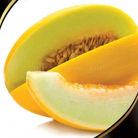 «Muscat» - Organic Melon Seeds