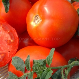 «Carp» - Organic Tomato Seeds