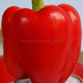 «Svetozar» - Organic Pepper Seeds