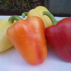 «Lubasha» - Organic Hot Pepper Seeds