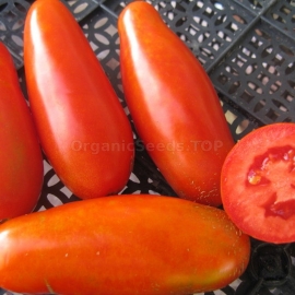 «Mom's Siberian» - Organic Tomato Seeds