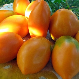 «Radunitsa» - Organic Tomato Seeds
