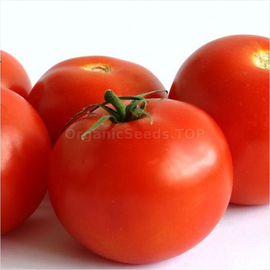 «Ulan» - Organic Tomato Seeds