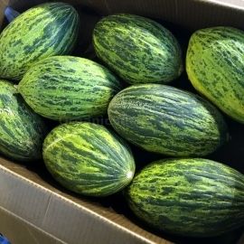 «Piel de Sapo» - Organic Melon Seeds