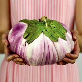 «Bianca Sfumata di Rosa» - Organic Eggplant Seeds