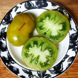 «Lime Green Salad» - Organic Tomato Seeds
