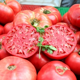 «Tsar's Royal Gift» - Organic Tomato Seeds