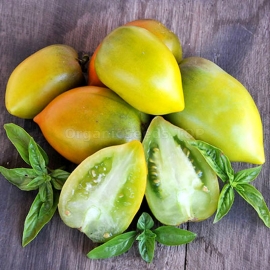 «Chile Verder» - Organic Tomato Seeds