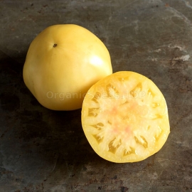 «White Giant» - Organic Tomato Seeds