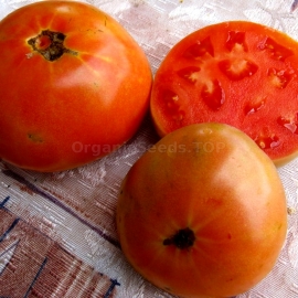 «Long-Keeper» - Organic Tomato Seeds