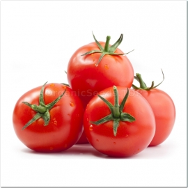 «Finish» - Organic Tomato Seeds