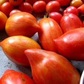 «Striped Plum» - Organic Tomato Seeds