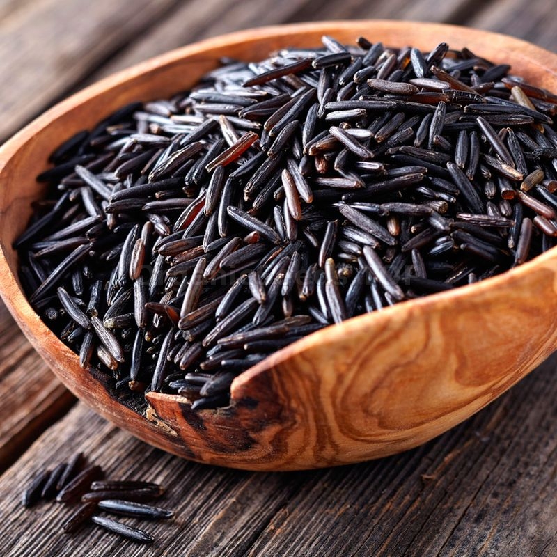 Organic Wild Rice Seeds (Zizania Aquatica) -  Shipping is free for orders  over 100