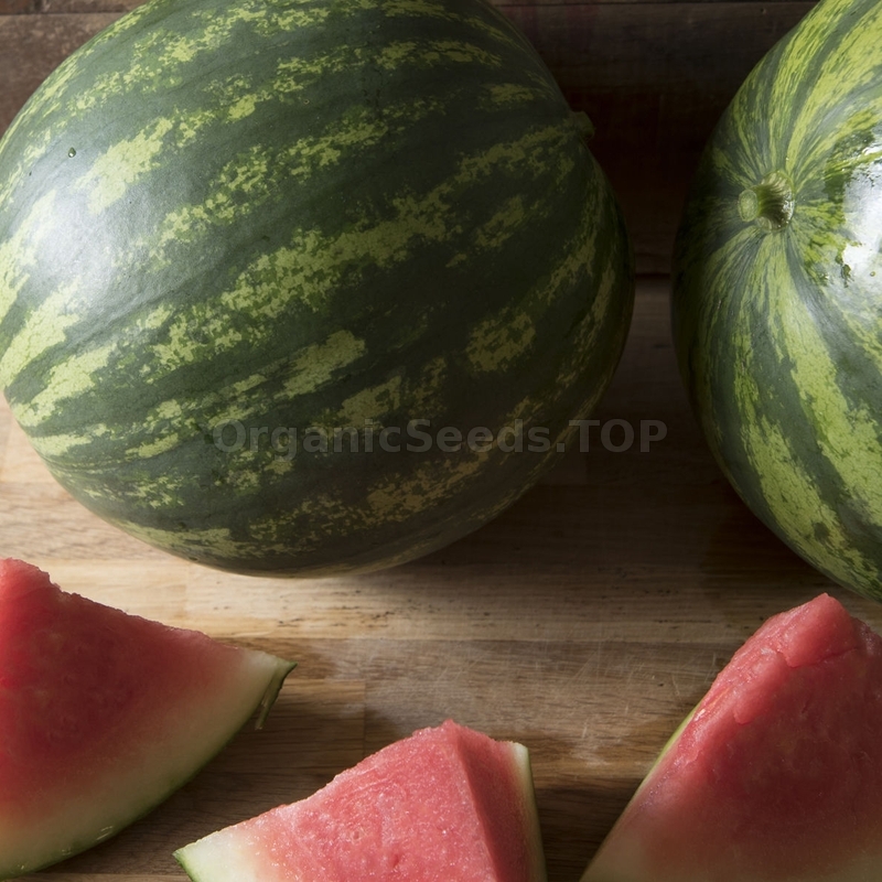 Seeds Watermelon Day&Night Mix Giant Fruits Planting Organic Heirloom Ukraine 