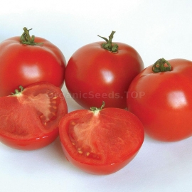 «Apologist» - Organic Tomato Seeds