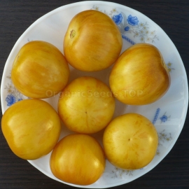 «Yellow Vernicage» - Organic Tomato Seeds