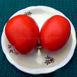«Homemade Pickles» - Organic Tomato Seeds