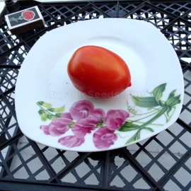 «Titan» - Organic Tomato Seeds