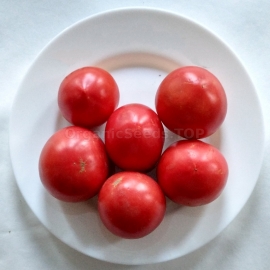 «Pink Rafaello» - Organic Tomato Seeds