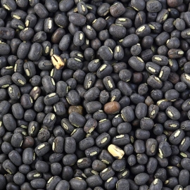 Organic Black Gram Seeds (Vigna Mungo)