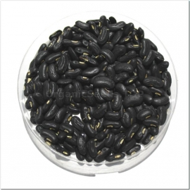 «Anaconda» - Organic Bean Seeds