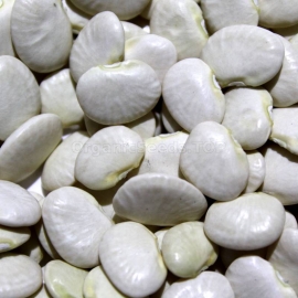 «Lima» - Organic Bean Seeds