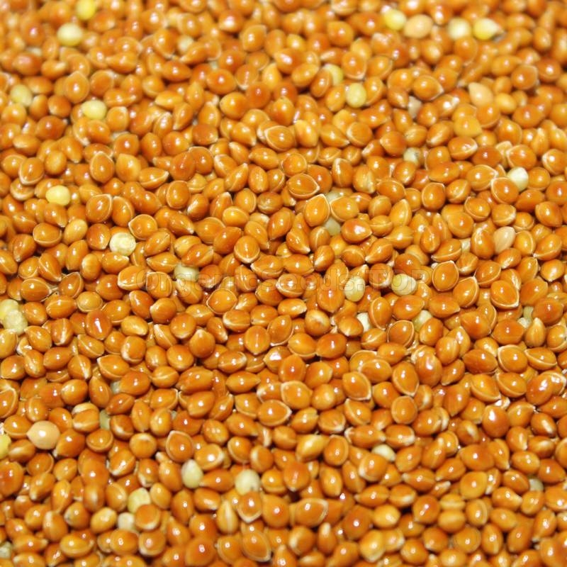 Images «Brown» Organic Millet Seeds Shipping is free for orders