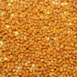 «Brown» - Organic Millet Seeds