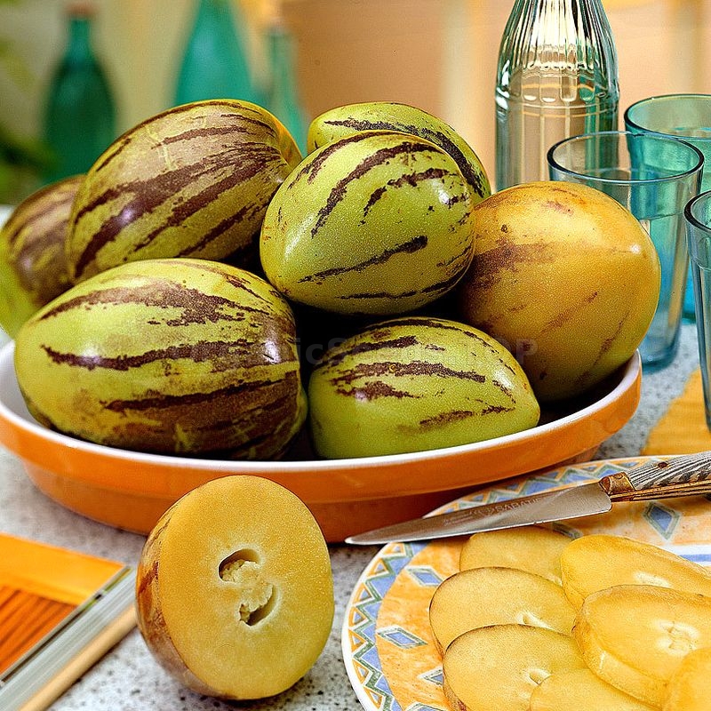 Melone: proprietà, benefici e consigli per il consumo estivo