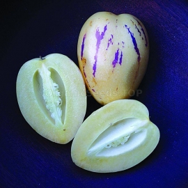 Organic Pepino Seeds (Solanum Muricatum)