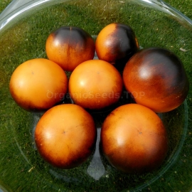 «Orange Blue» - Organic Tomato Seeds