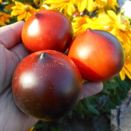 «Jolie Coeur» - Organic Tomato Seeds