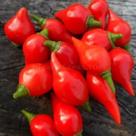 «Biquinho Red» - Organic Hot Pepper Seeds